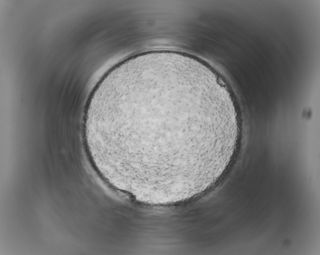 X0000112721333200910011123