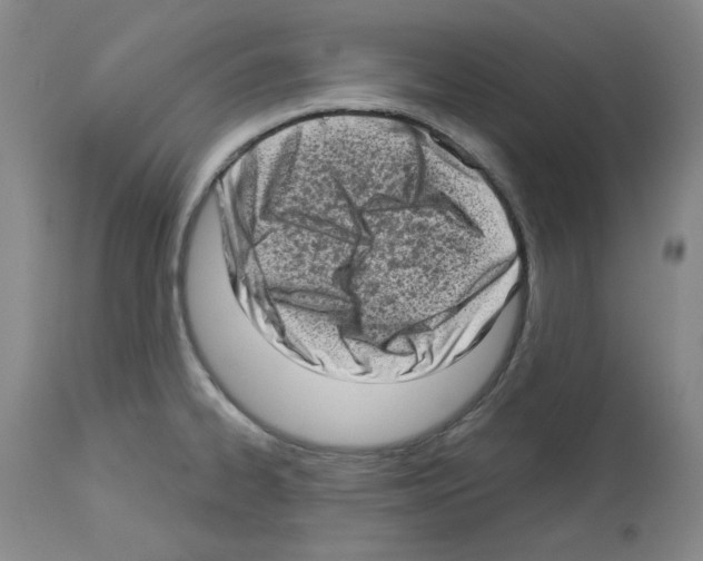 X0000112721334200910011123