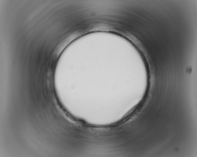 X0000112721337200910011123