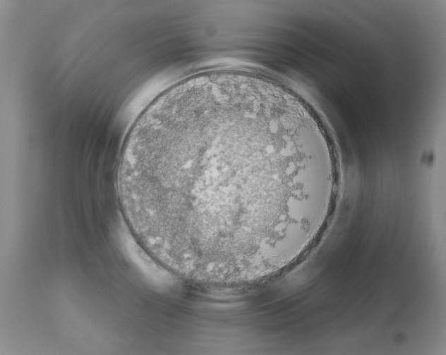 X0000112721338200910011123