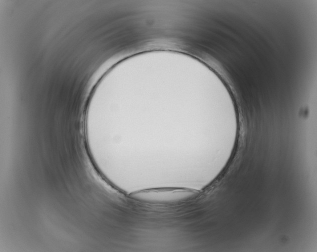 X0000112721339200910011123