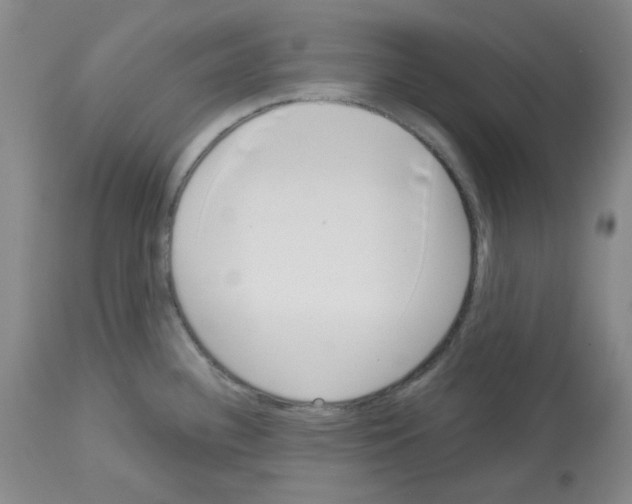 X0000112721340200910011123