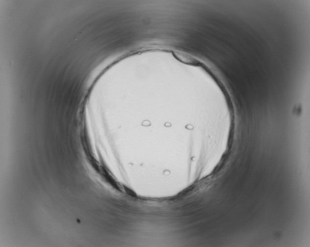 X0000112721341200910011123