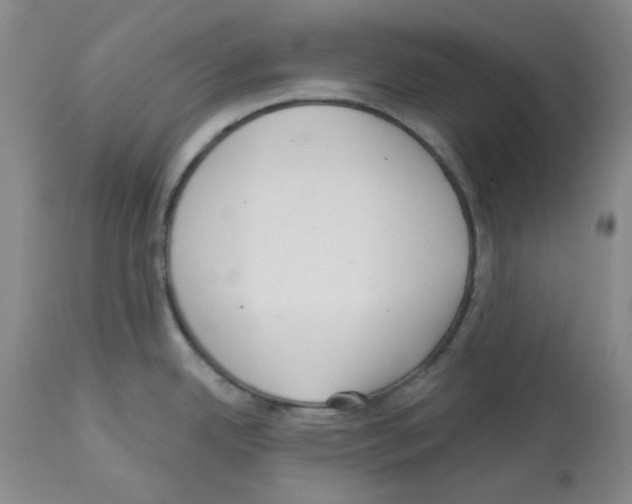 X0000112721342200910011123