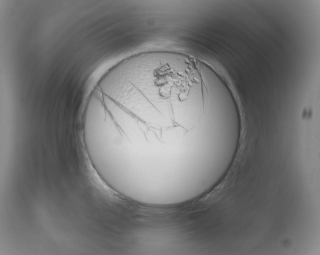 X0000112721344200910011123