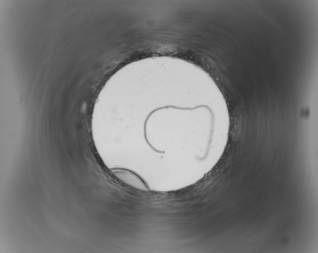 X0000112721345200910011122