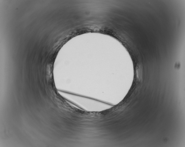 X0000112721347200910011122