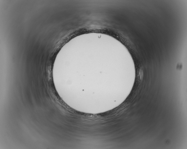 X0000112721348200910011122