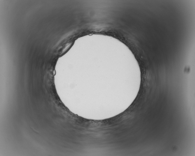 X0000112721349200910011122