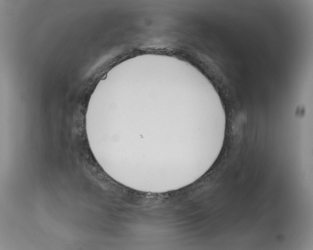 X0000112721350200910011122