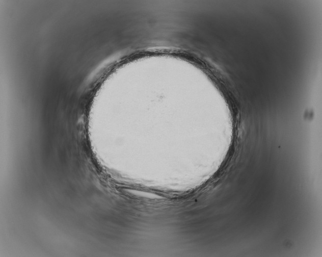 X0000112721351200910011122