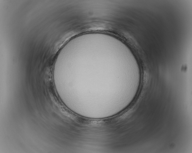 X0000112721353200910011122