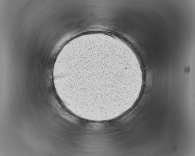 X0000112721355200910011122