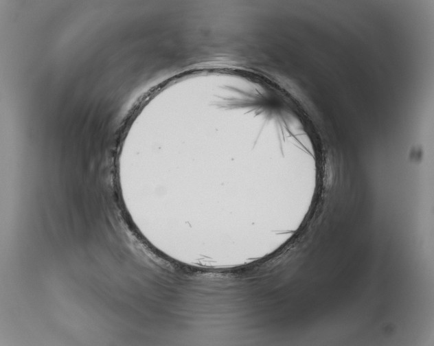 X0000112721356200910011122