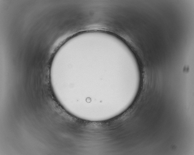 X0000112721358200910011122