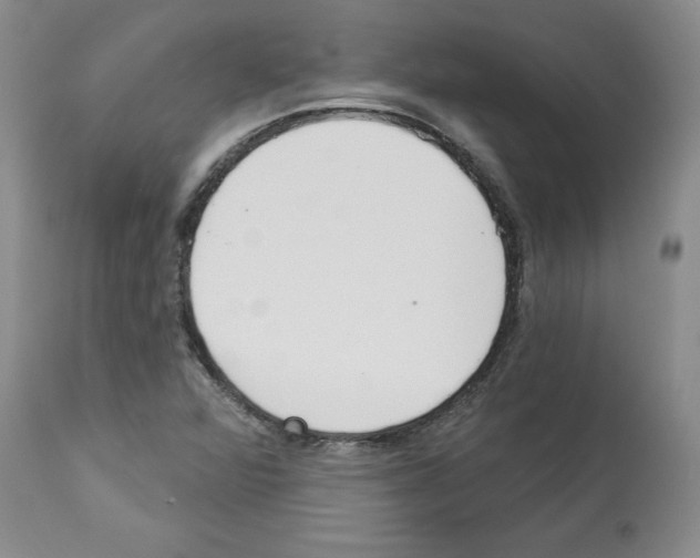 X0000112721360200910011122