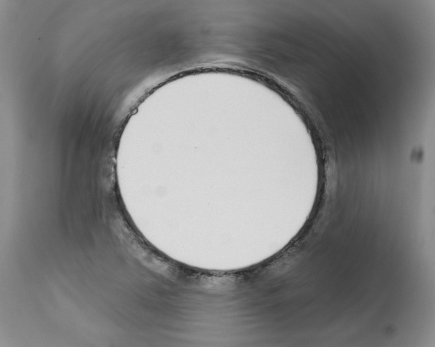 X0000112721363200910011122