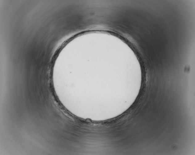 X0000112721364200910011122