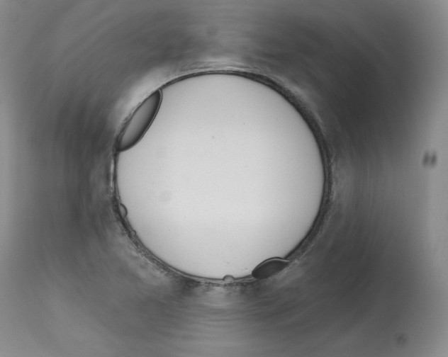 X0000112721365200910011122