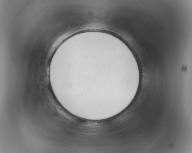 X0000112721366200910011122