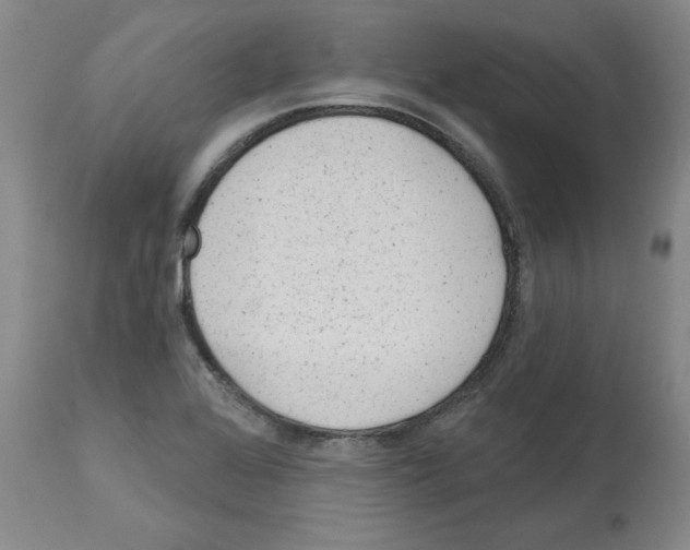 X0000112721368200910011122