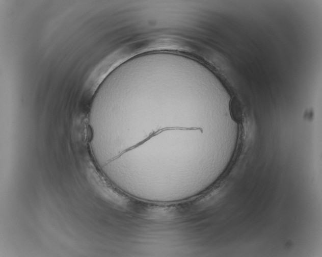 X0000112721369200910011122