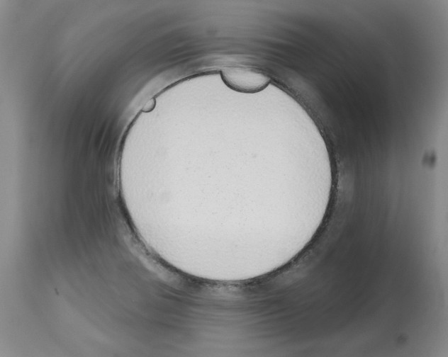 X0000112721370200910011122