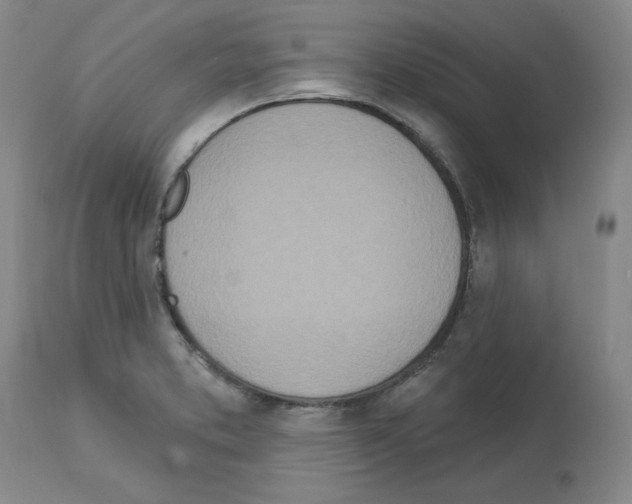 X0000112721373200910011122