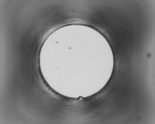 X0000112721375200910011122