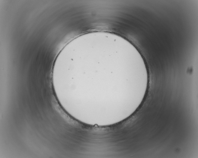 X0000112721378200910011121