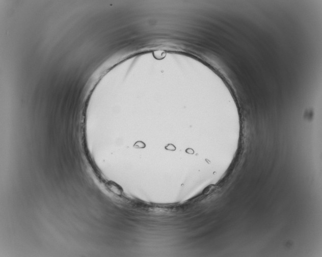 X0000112721379200910011121