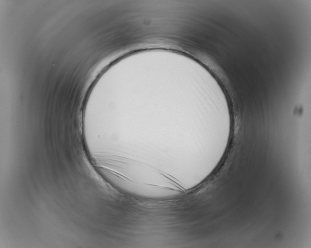 X0000112721380200910011121