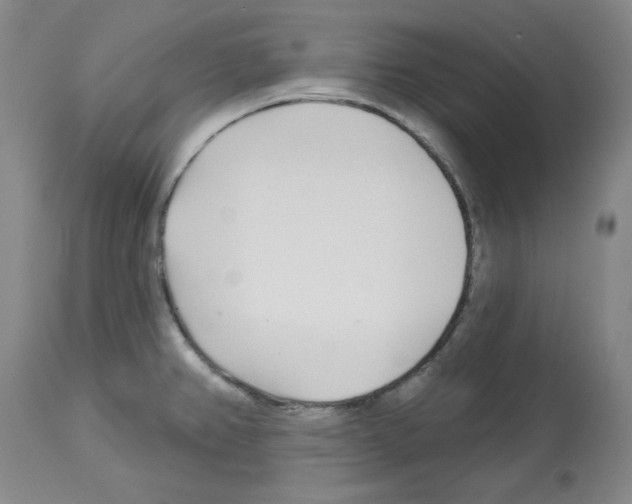 X0000112721382200910011121