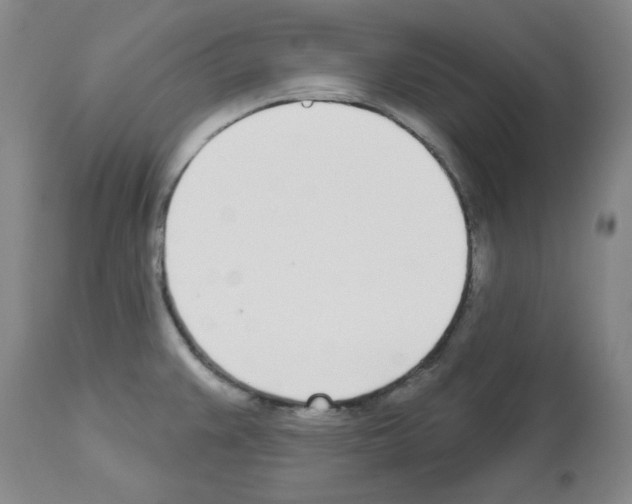 X0000112721383200910011121