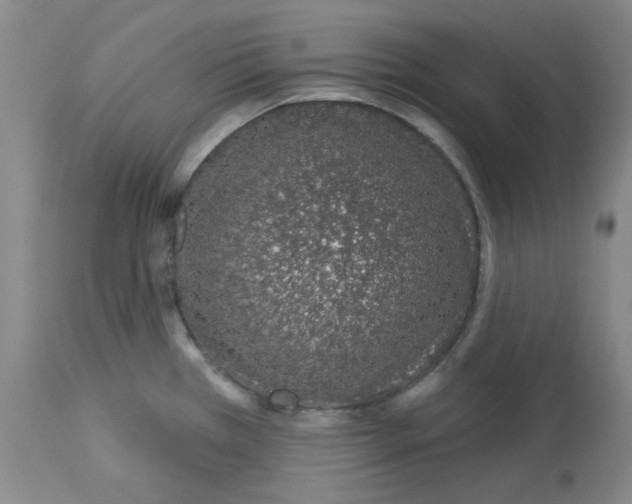 X0000112721385200910011121