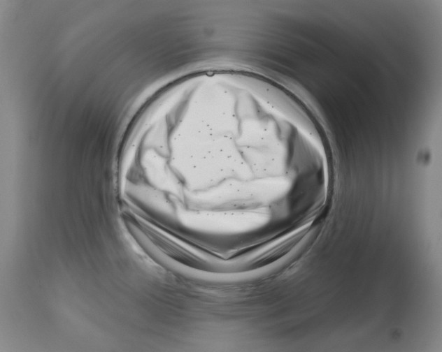 X0000112721388200910011121