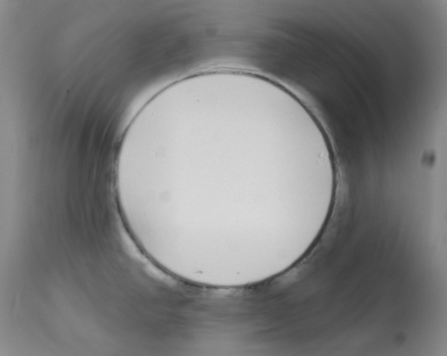 X0000112721390200910011121