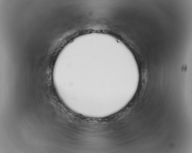 X0000112721398200910011121