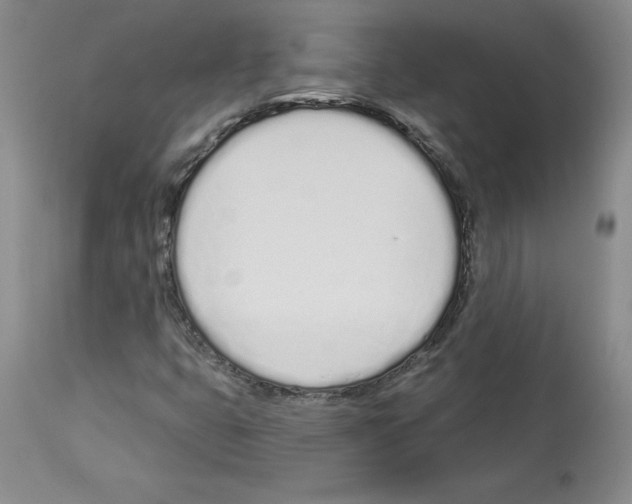 X0000112721399200910011121