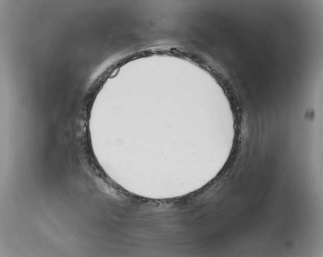 X0000112721400200910011121