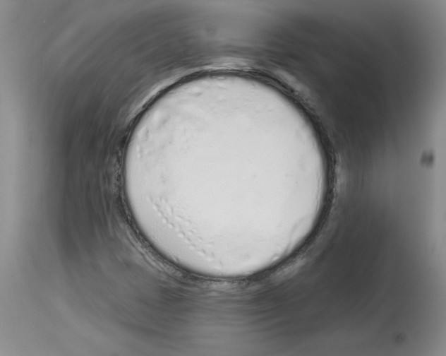 X0000112721401200910011121