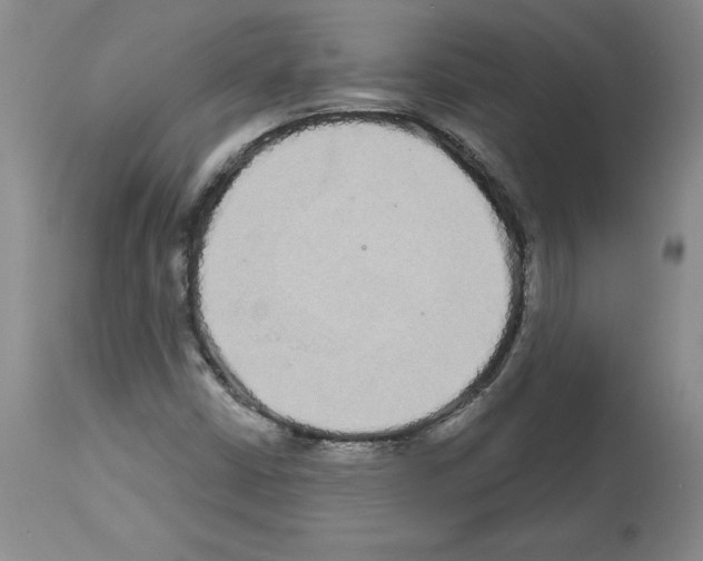 X0000112721402200910011121