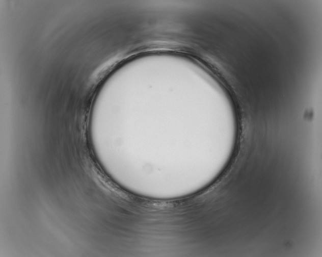 X0000112721403200910011121