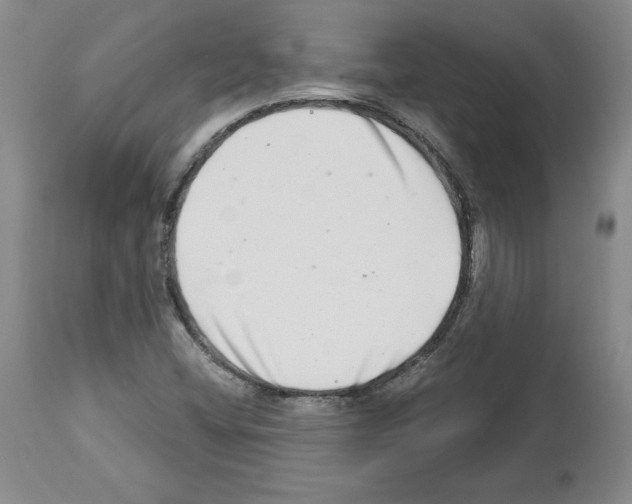 X0000112721404200910011121