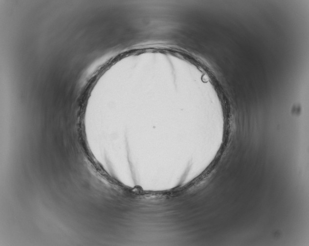 X0000112721406200910011121