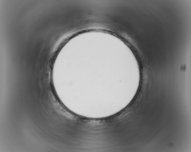 X0000112721408200910011121