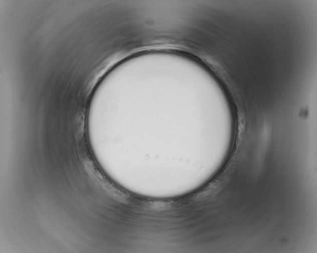 X0000112721409200910011121