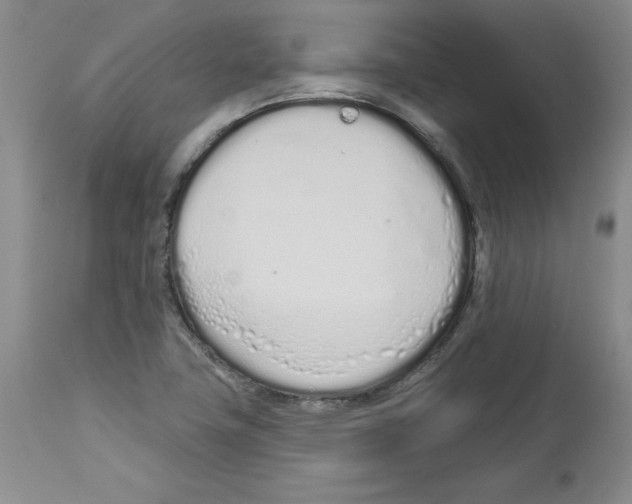 X0000112721411200910011121