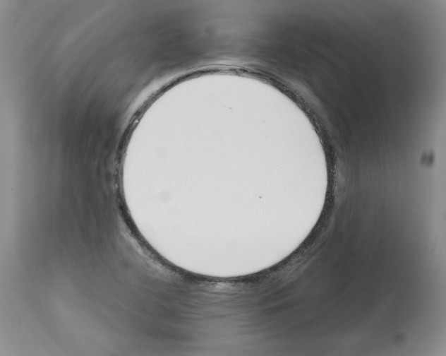 X0000112721412200910011121