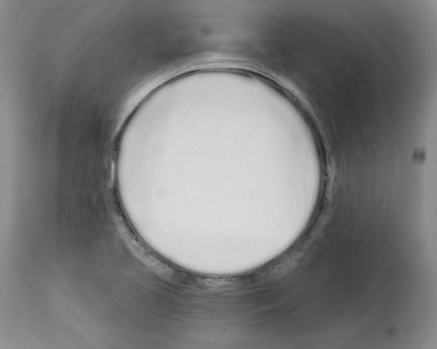 X0000112721413200910011121